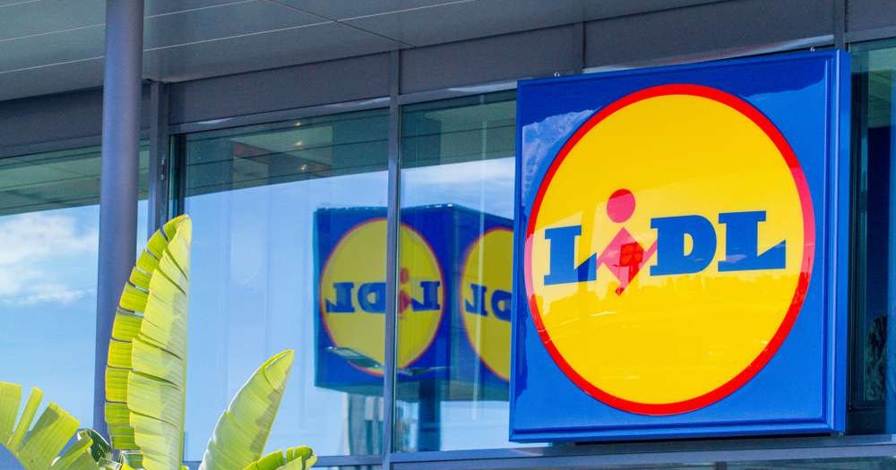 Lidl Lavoro Immediato : Inizia la Tua Carriera Ora